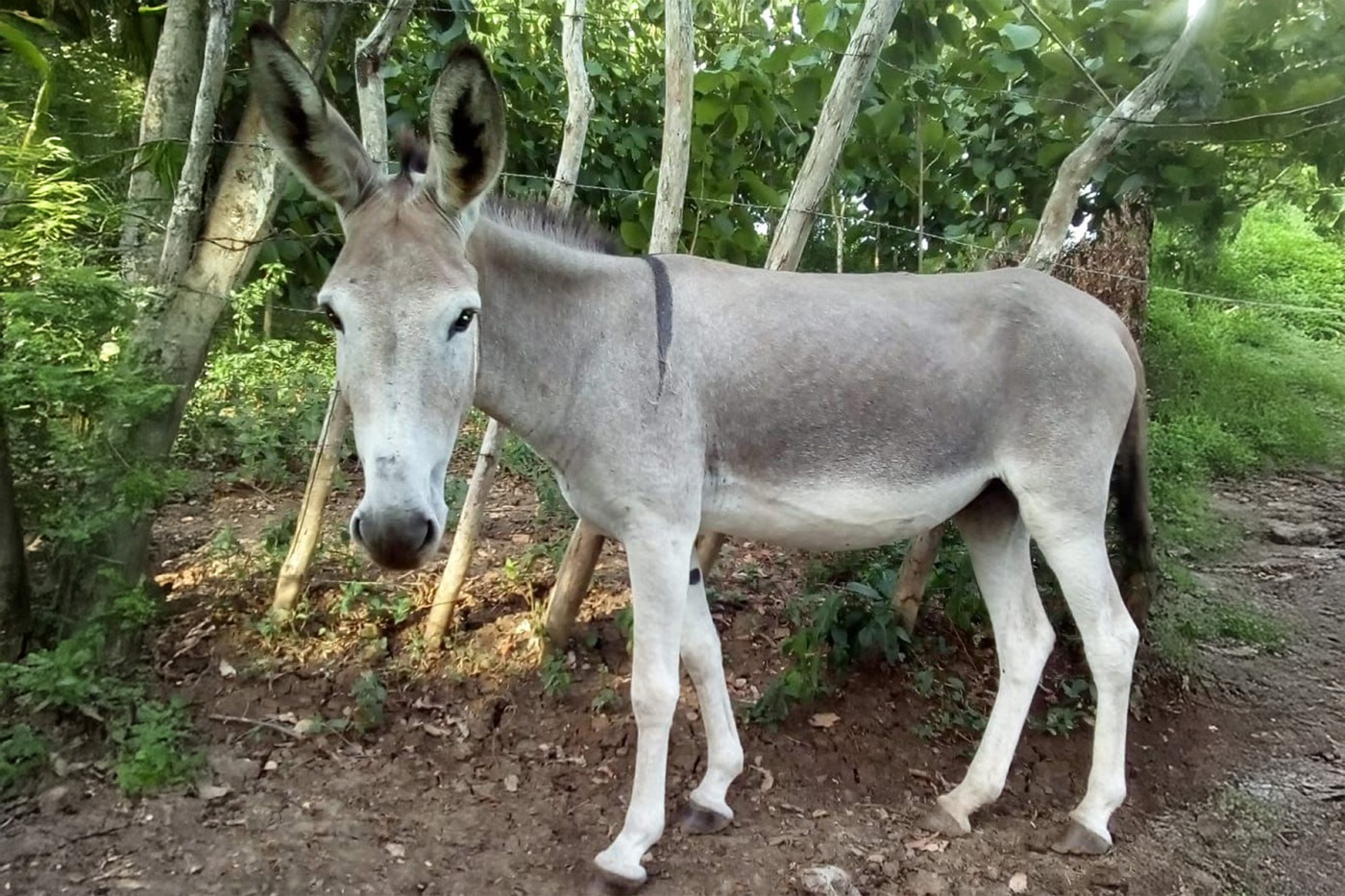 AgenciaUNAL 021224 01