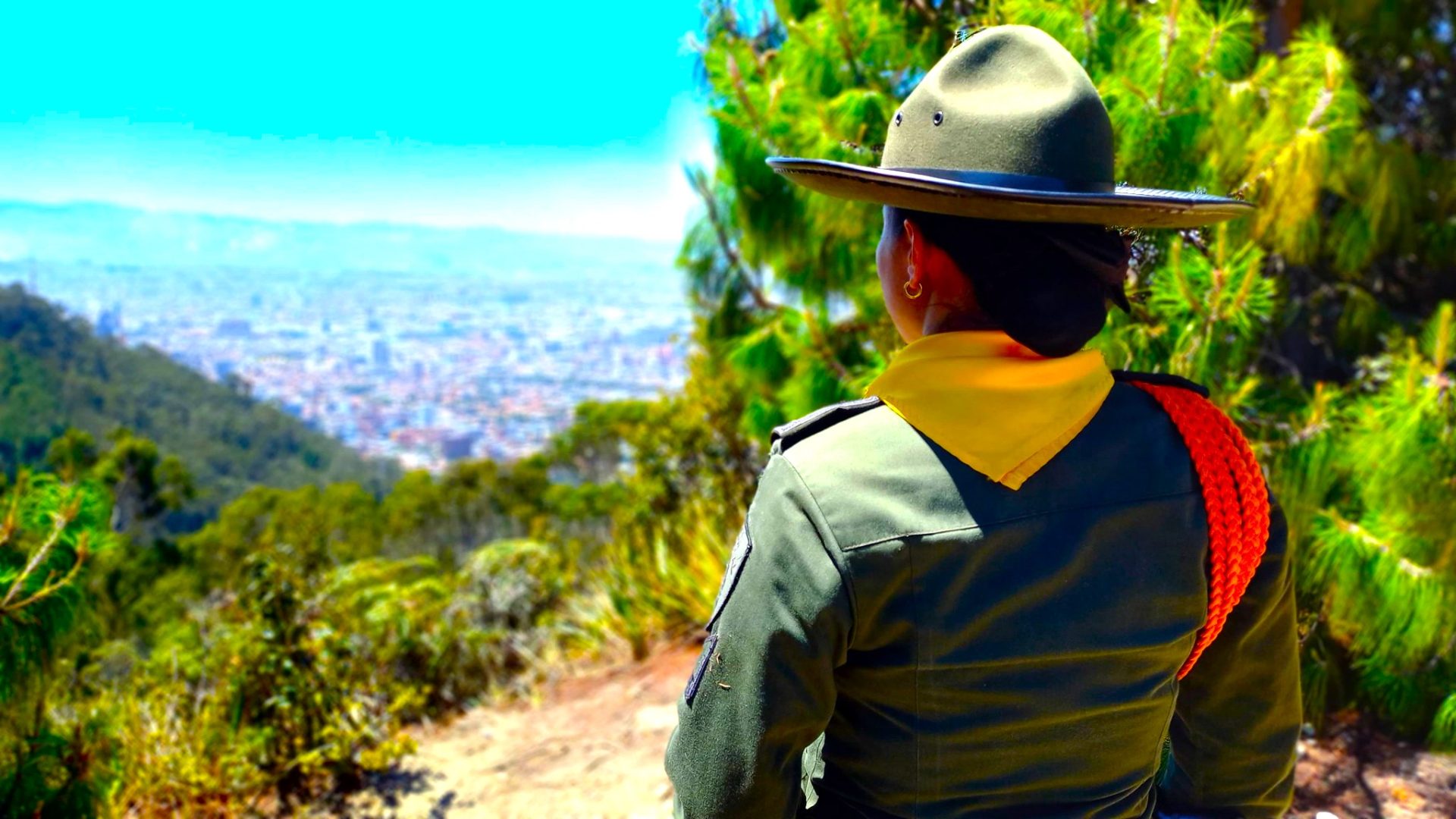 Informe de seguridad 2024 destaca avances en la reduccion de delitos en Cundinamarca2
