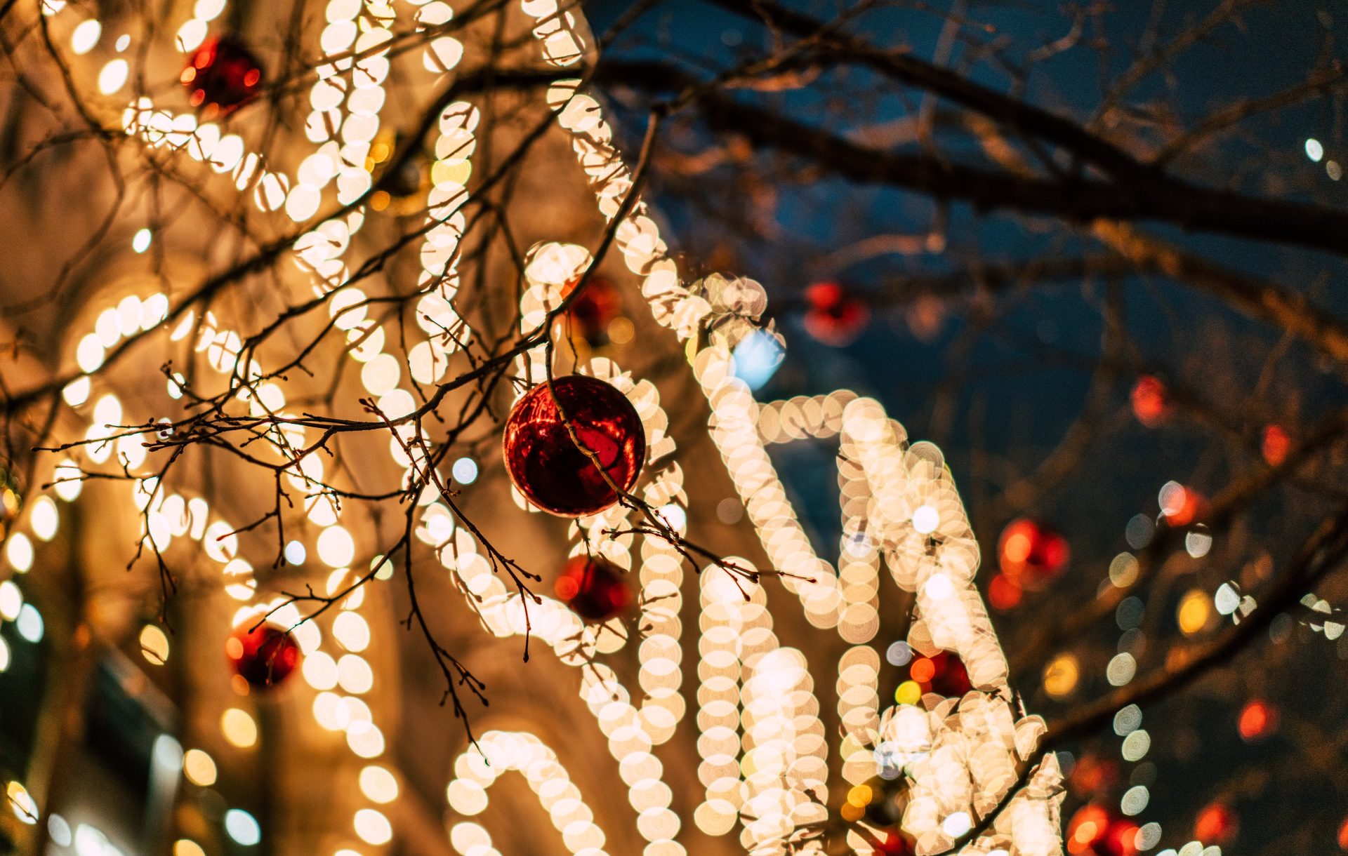 christmas decoration and christmas lights 2024 12 04 21 44 18 utc
