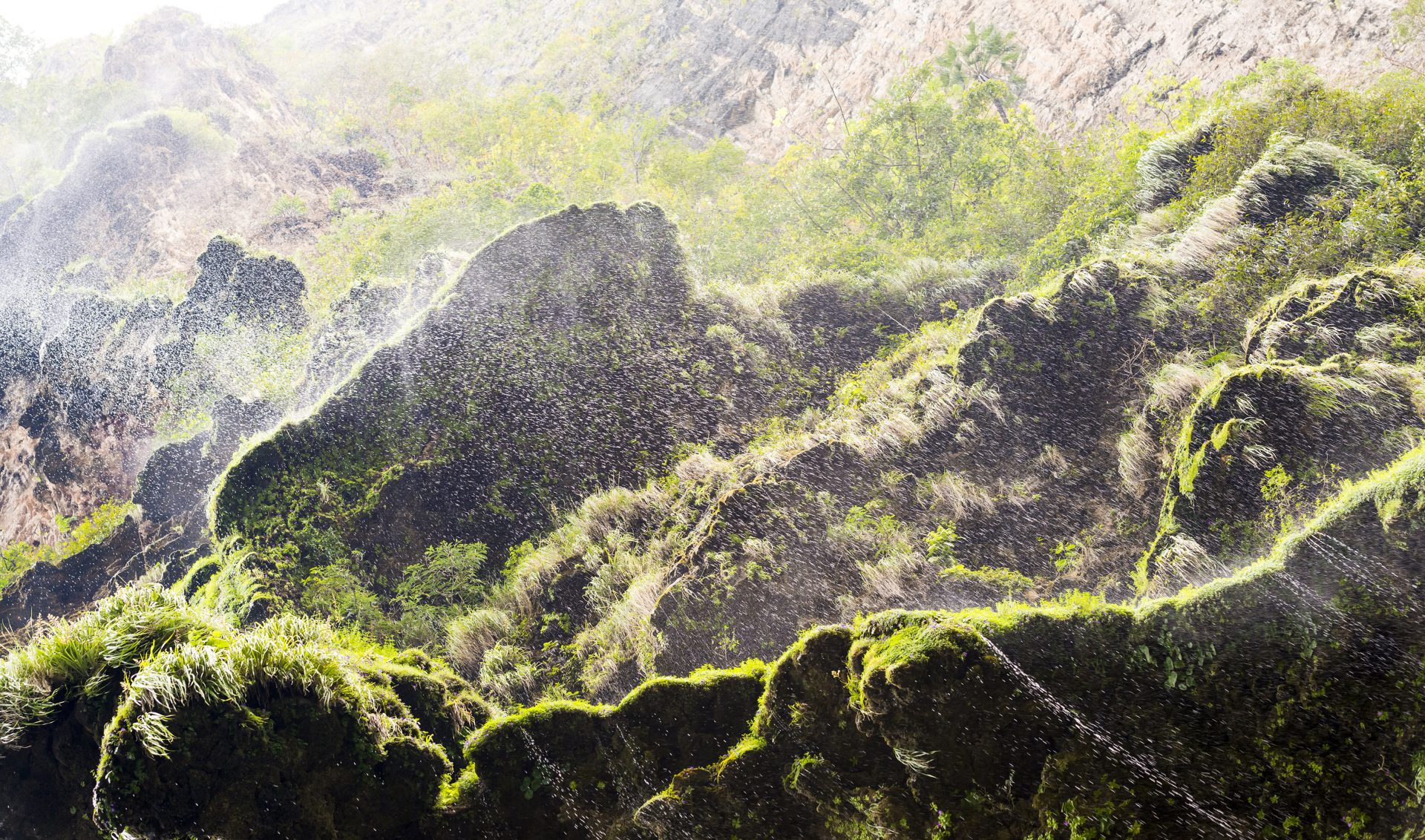 mist over green moss 2024 12 03 08 47 56 utc