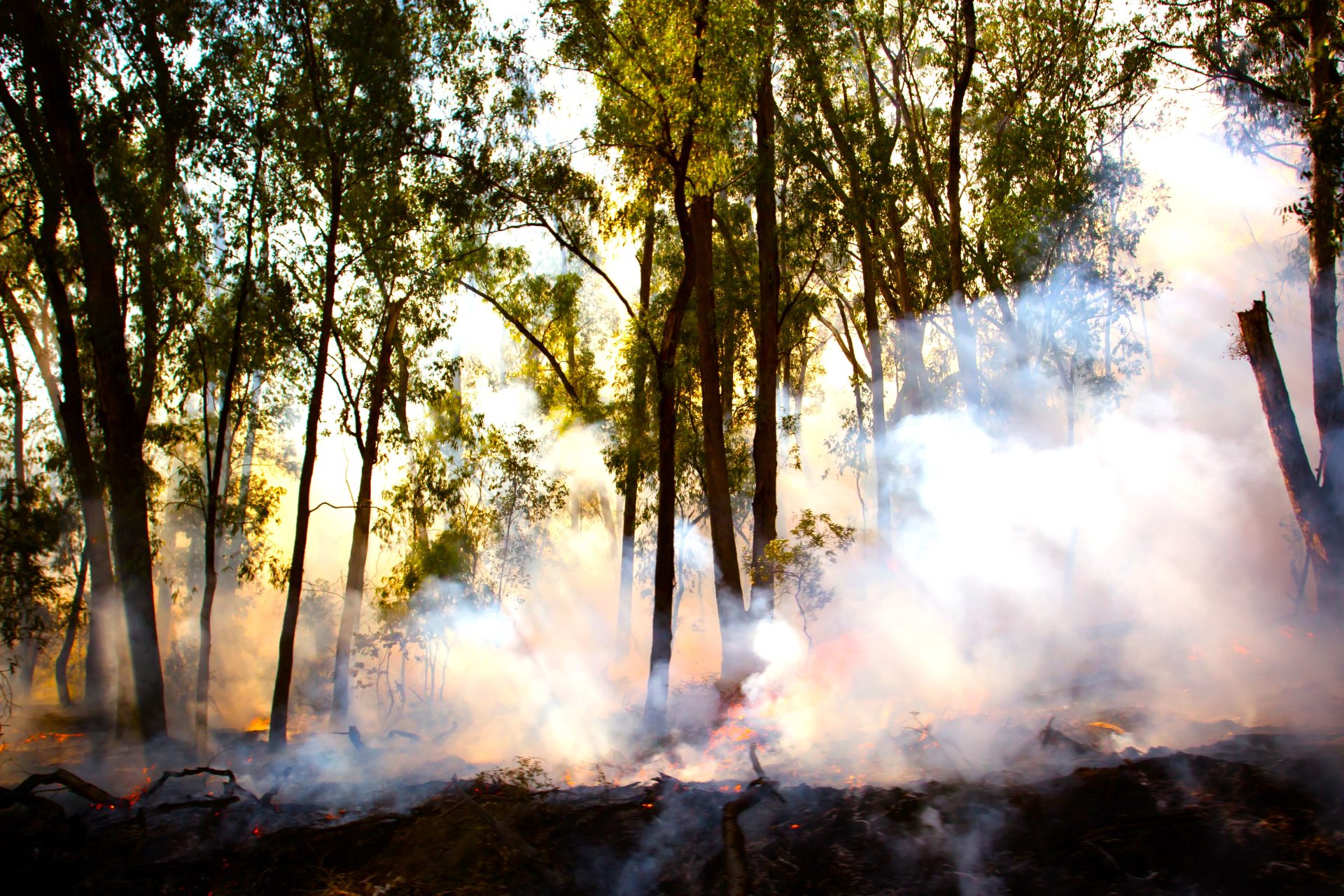 En Cundinamarca mesa tecnica para resolver crisis en contratos de bomberos1