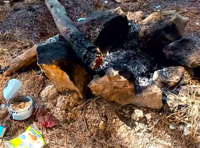 Fogon improvisado seria la causa del incendio forestal en Alto de Lourdes Chia2