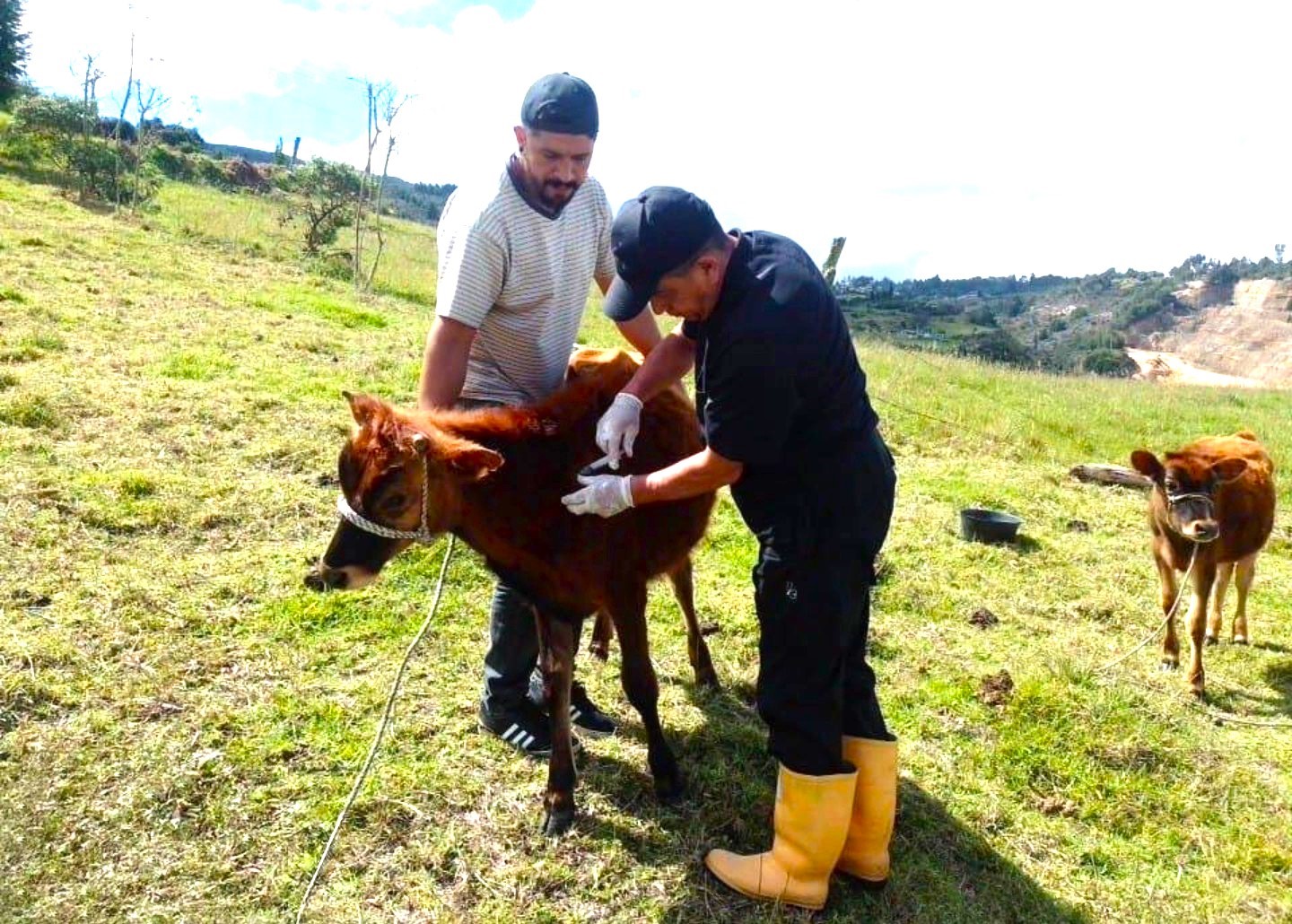 Promocion de bienestar animal en Tocancipa2
