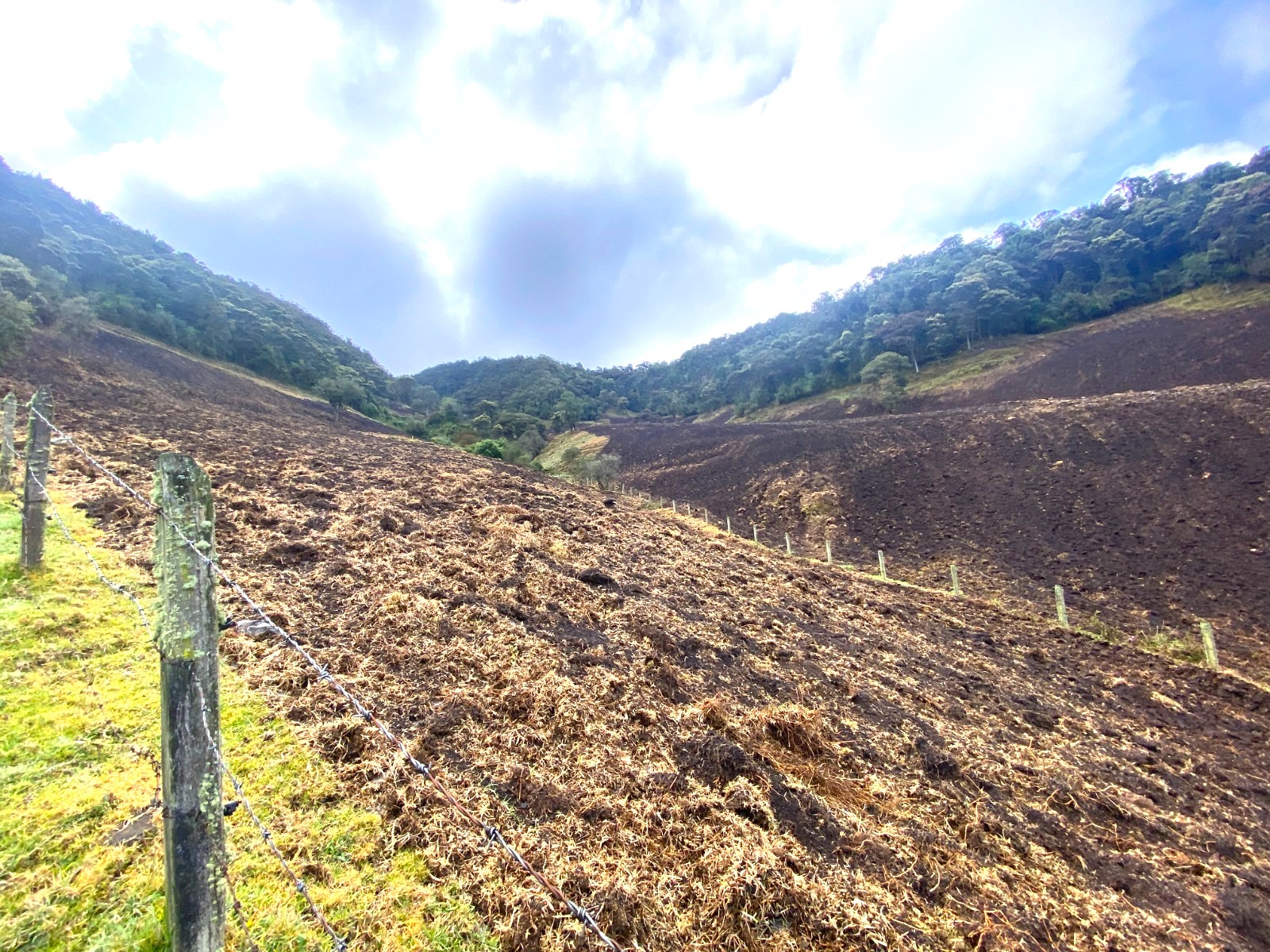 Suspenden actividades ilegales de siembra de papa en Cogua para proteger zona de reserva1