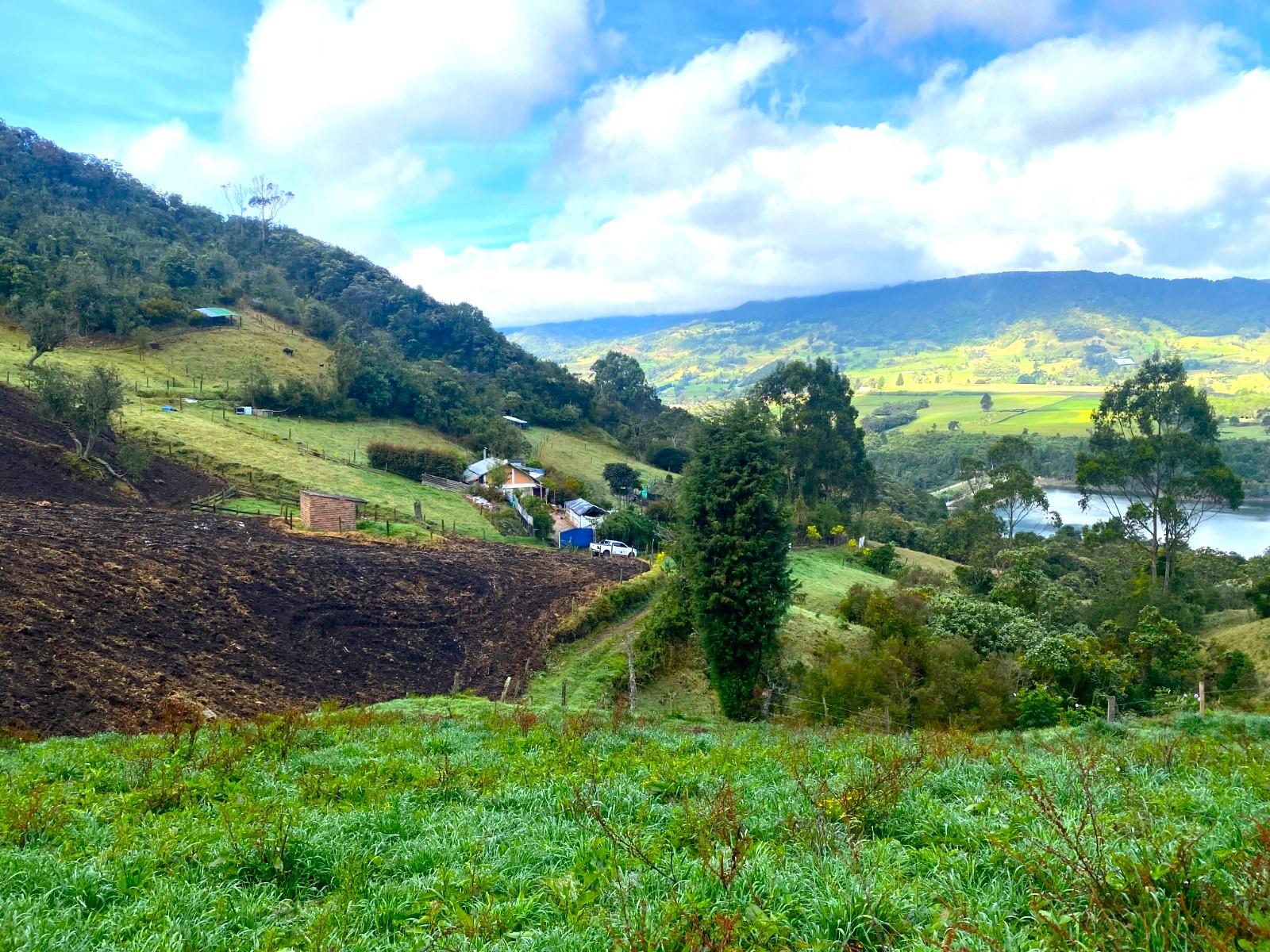 Suspenden actividades ilegales de siembra de papa en Cogua para proteger zona de reserva2