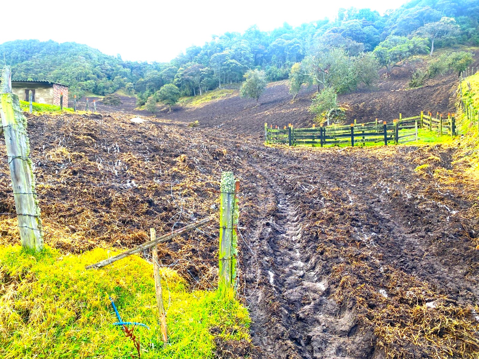 Suspenden actividades ilegales de siembra de papa en Cogua para proteger zona de reserva3