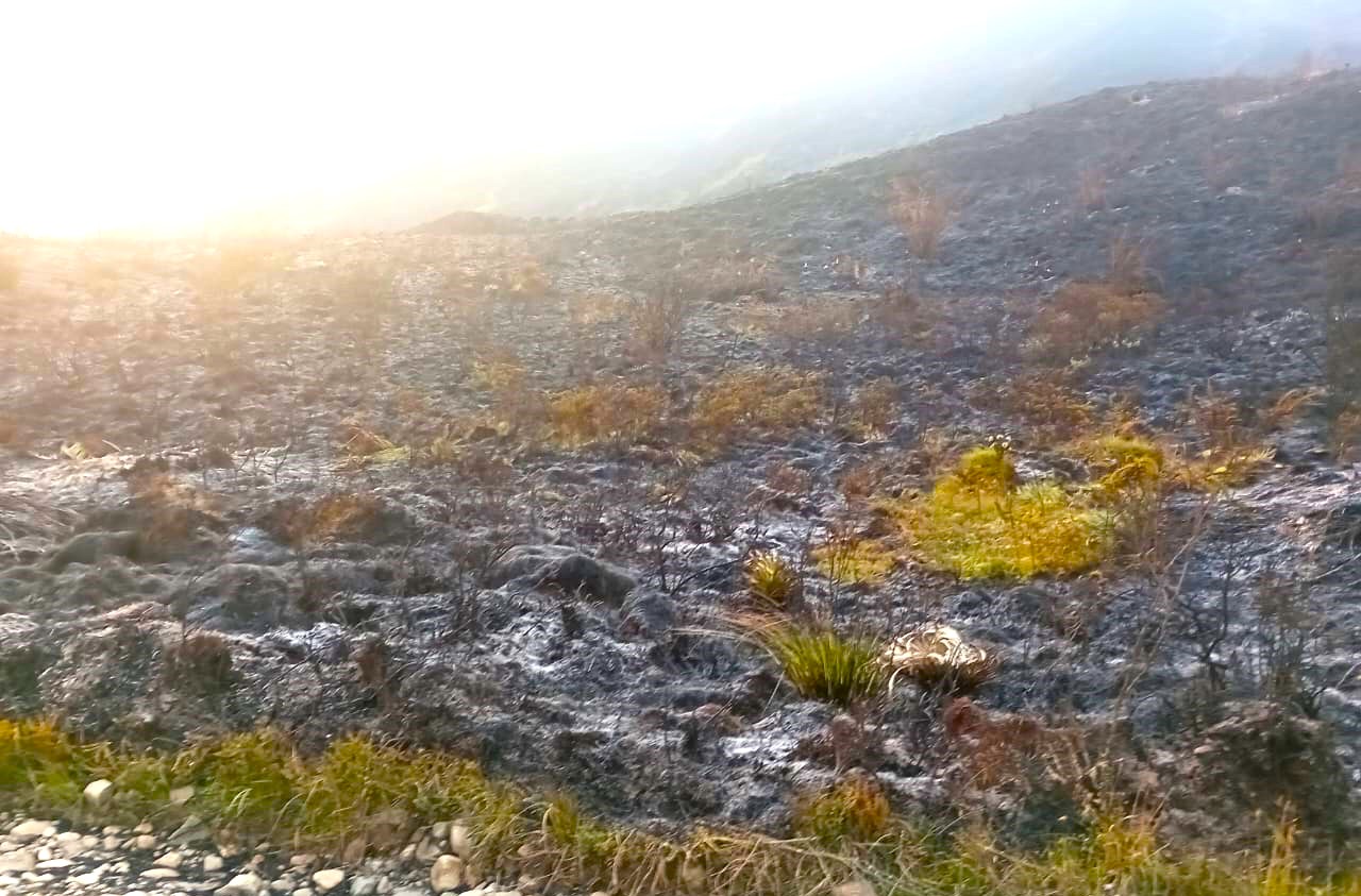 Tragedia en Chingaza Incendio arrasa con uno de los tesoros ecologicos mas importantes de Colombia2