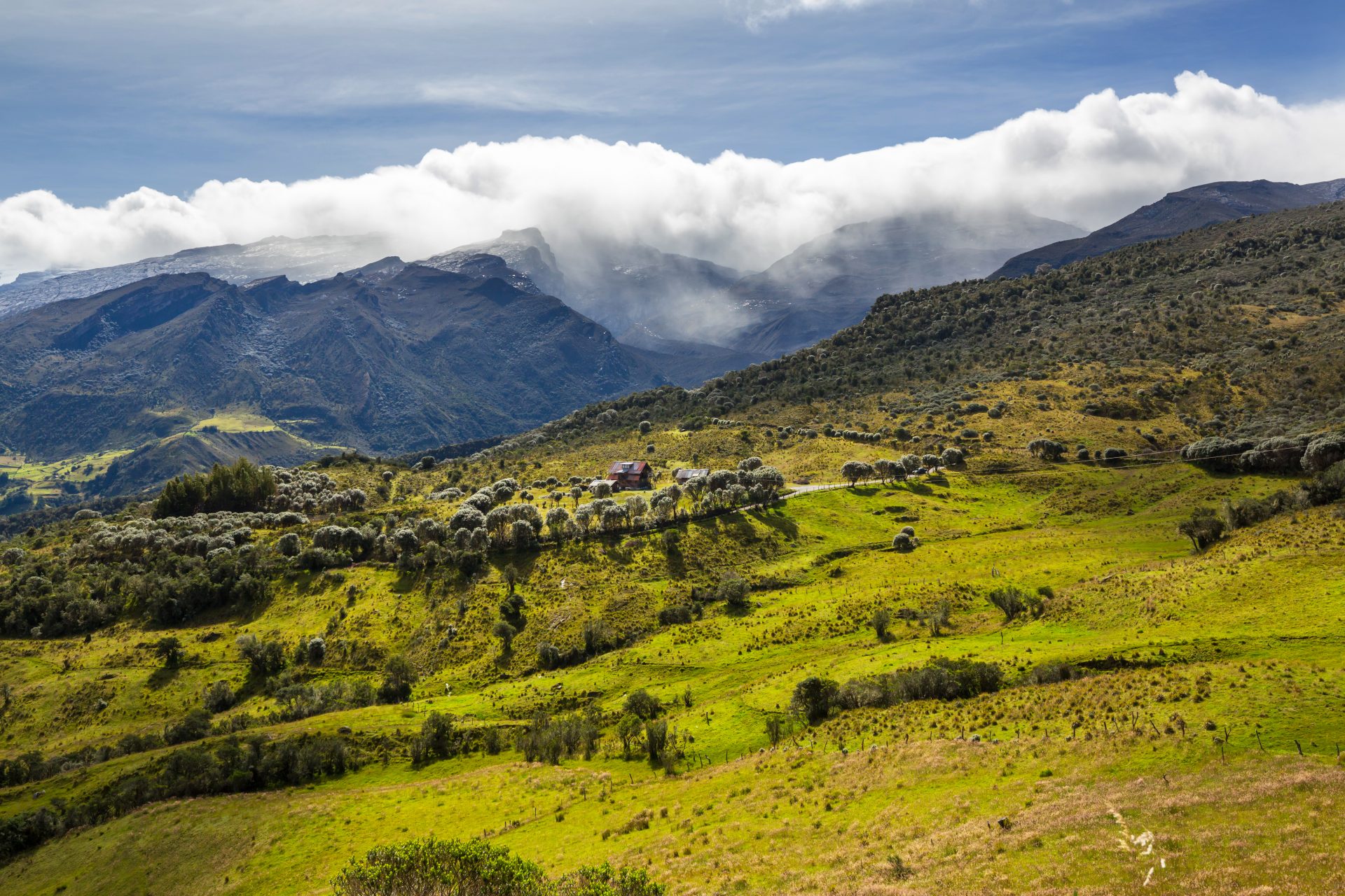 mountains in colombia 2025 01 09 05 39 51 utc