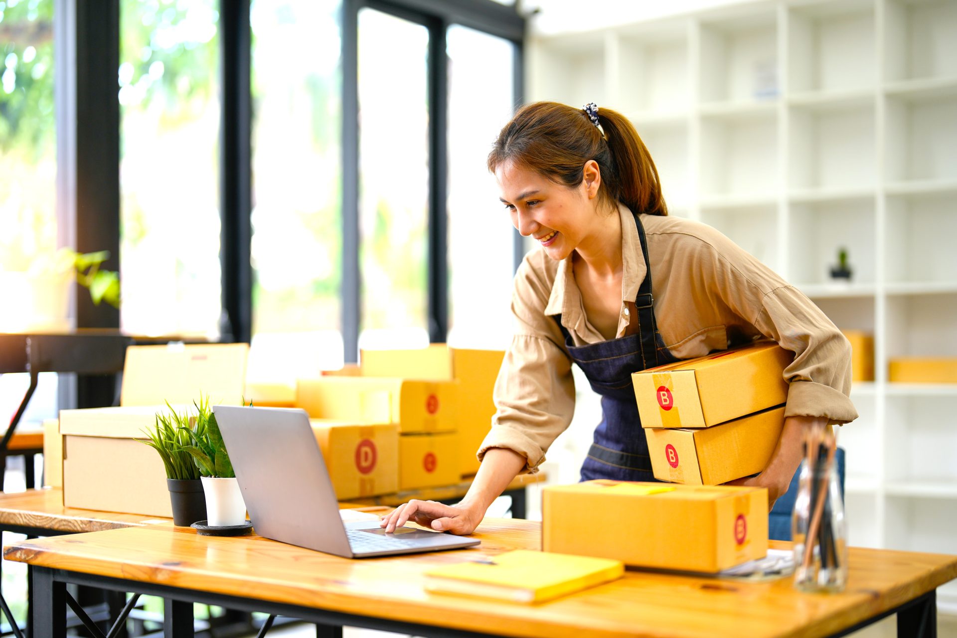 sme entrepreneur small business entrepreneurs onli 2023 11 27 05 04 06 utc