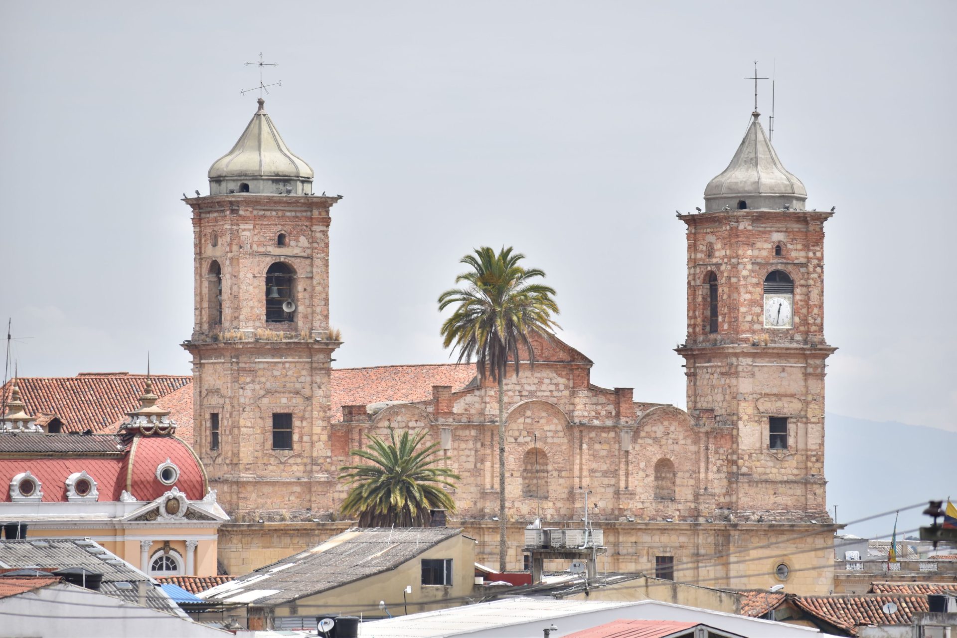Alcaldia de brote EDA en colegios