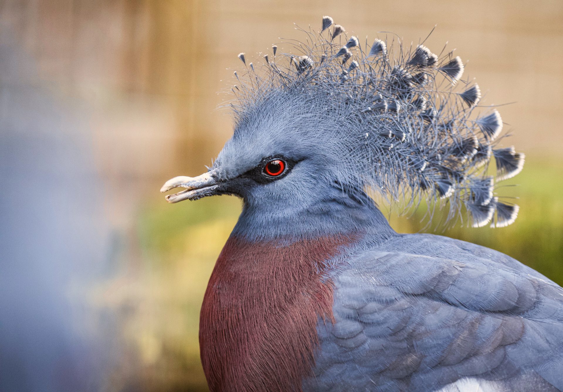 Depositphotos 390528466 XL