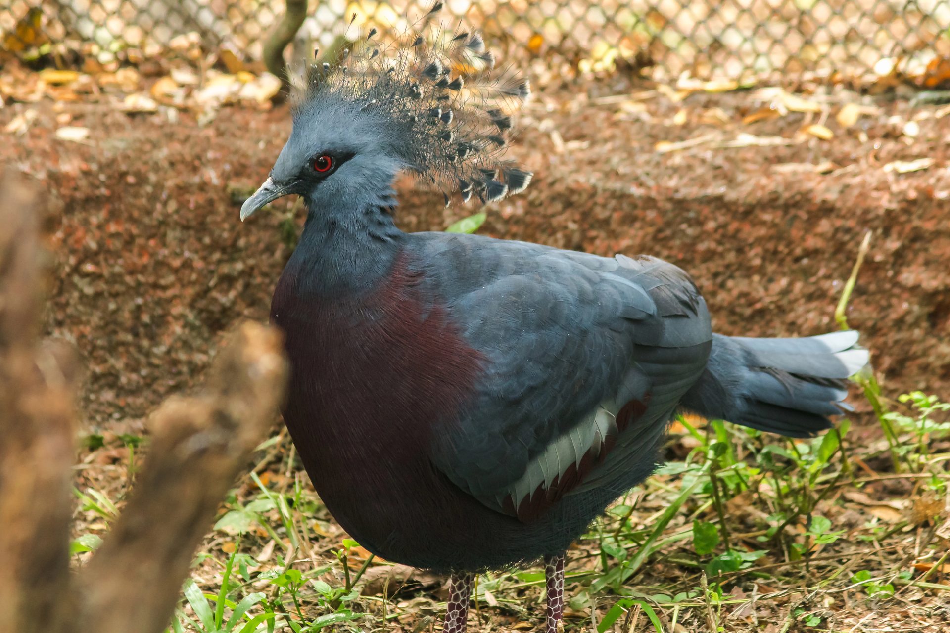 Depositphotos 442533592 L