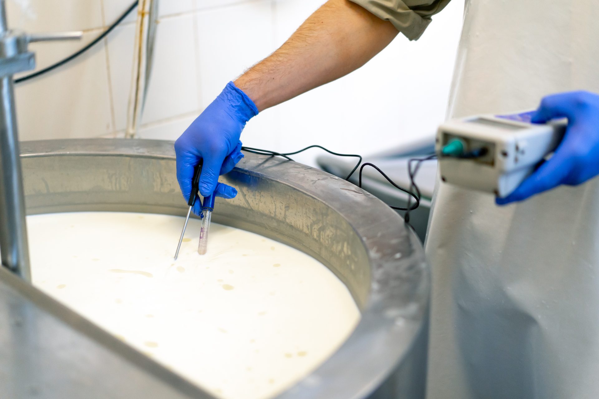 an employee measures the temperature of milk at a 2024 12 05 13 46 41 utc