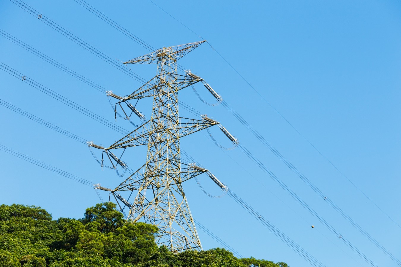 Imagen1ENEL