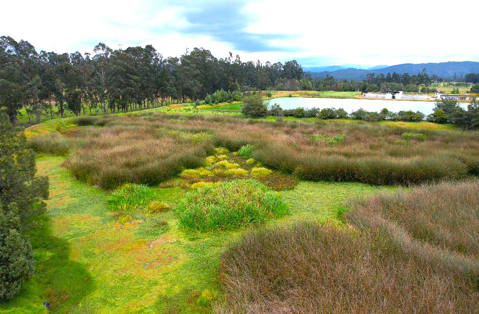 Tocancipa recupera sus humedales de basureros ilegales a refugios de biodiversidad 2