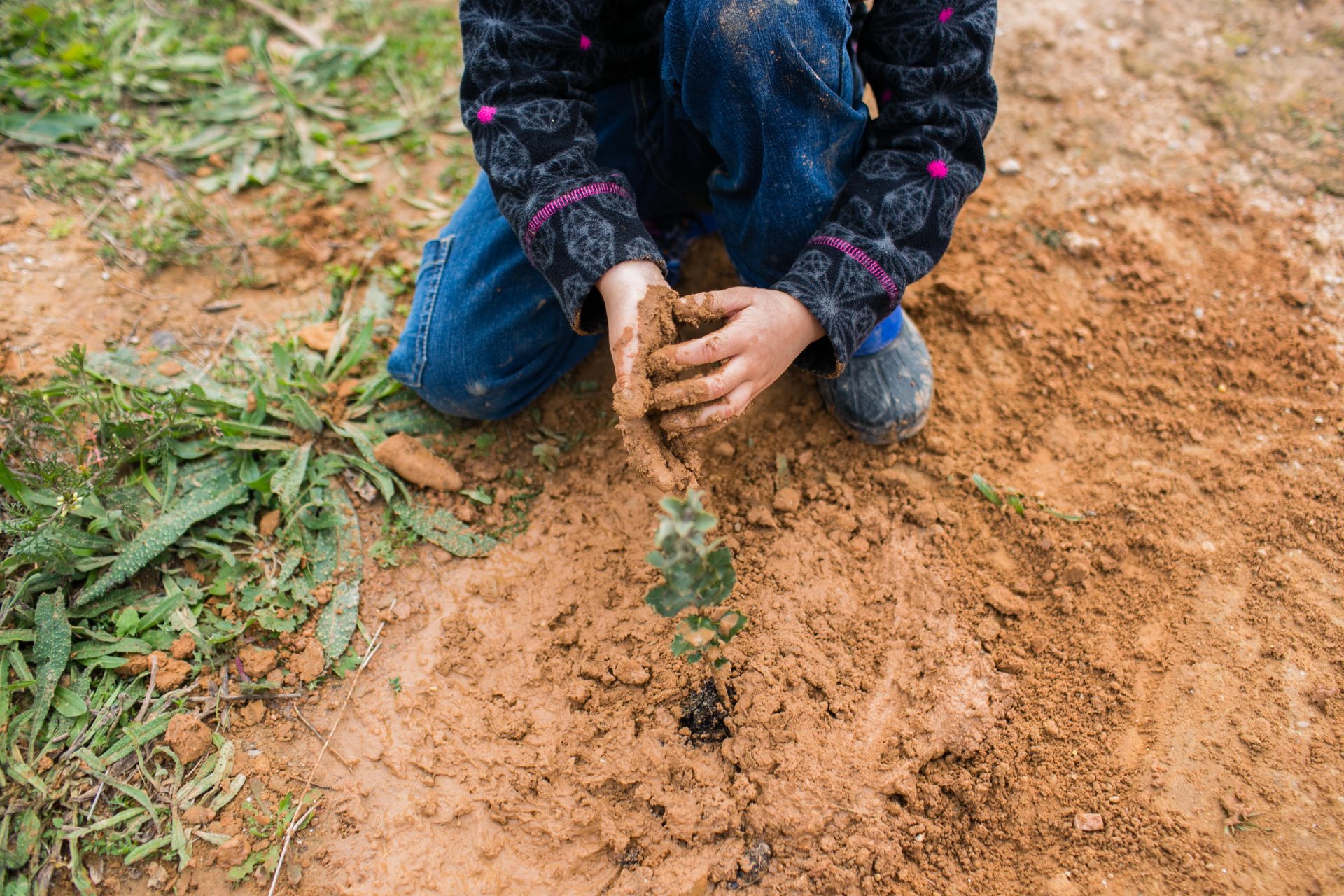 children planting trees in the forest and growing 2024 10 18 10 01 48 utc