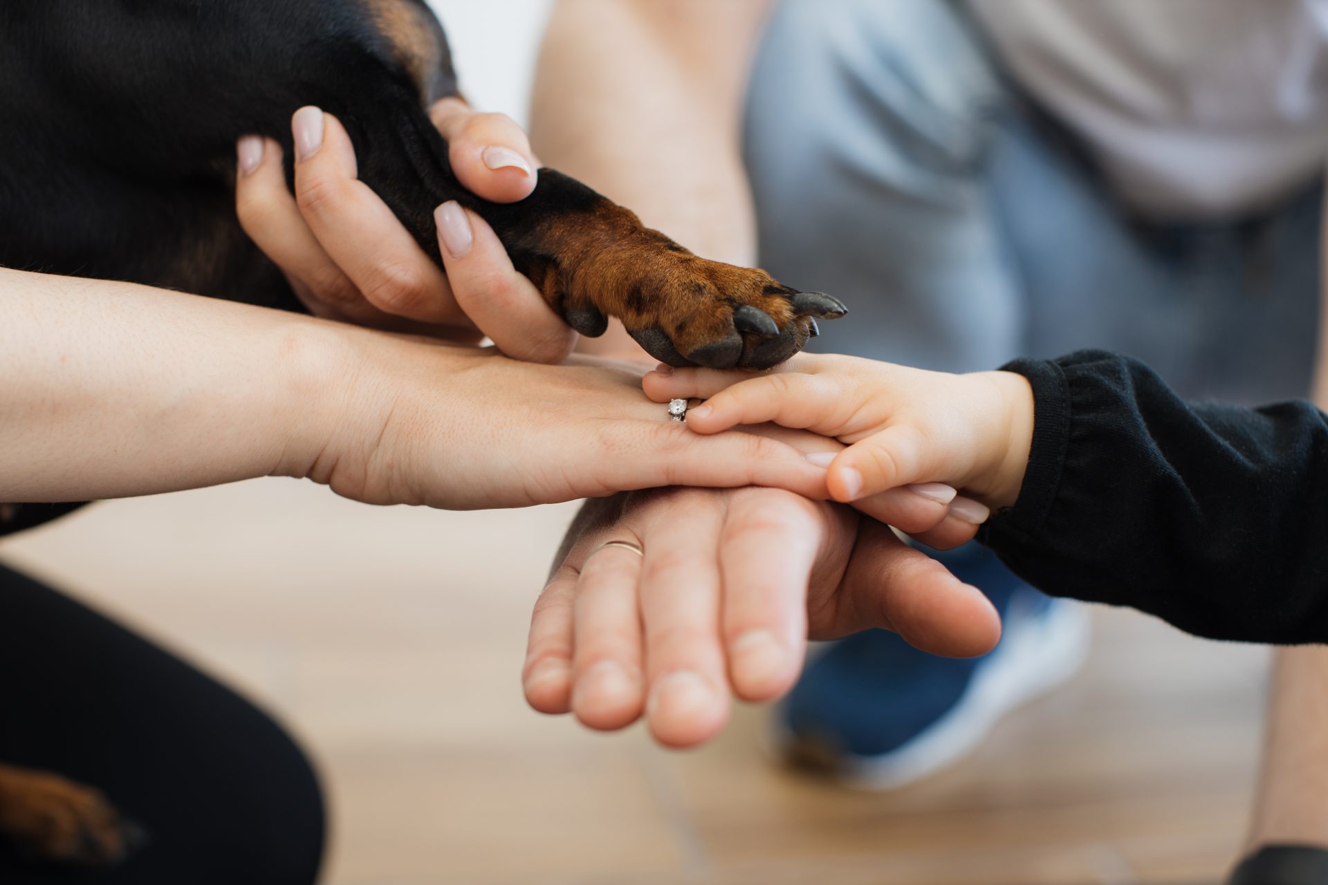 family of three stacking hands with dog s paw on t 2024 12 12 07 40 28 utc
