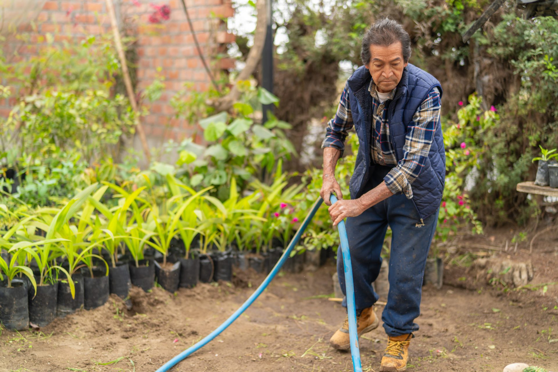 latin gardener holding blue hose watering plants i 2024 08 15 23 59 01 utc