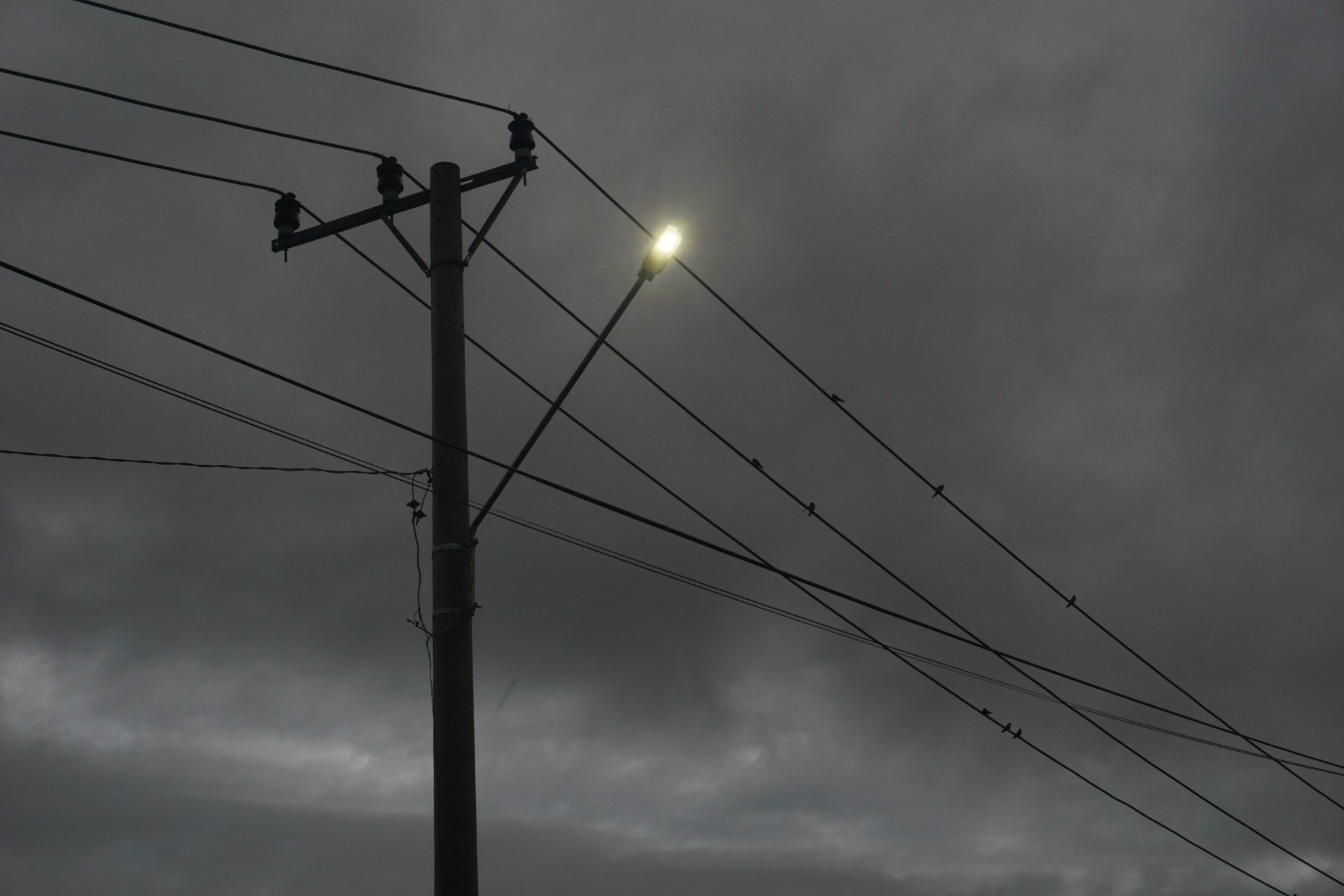 low angle grayscale shot of an electrical pole wit 2025 02 02 11 48 33 utc