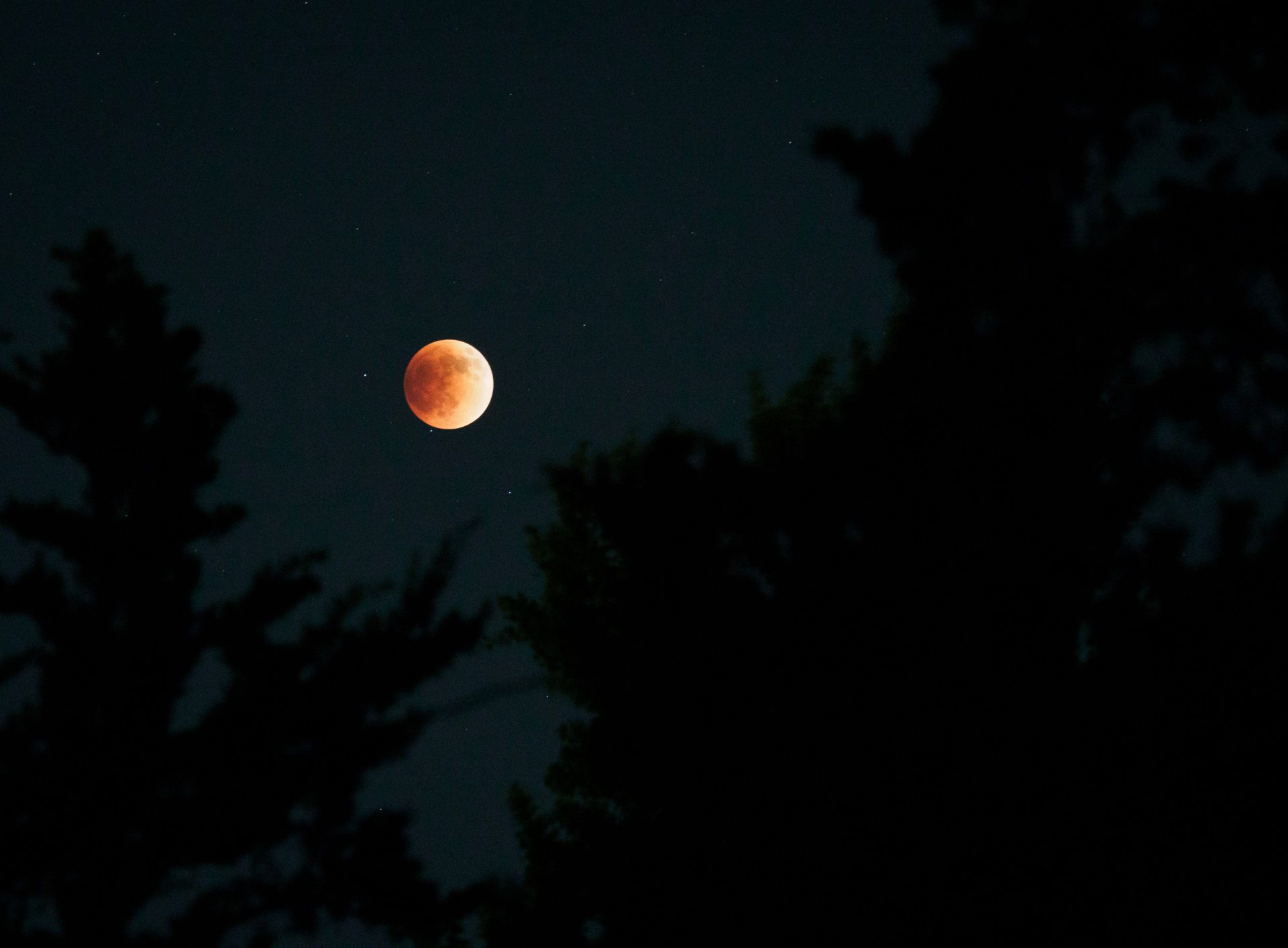 view of blood moon lunar eclipse 2025 02 11 17 55 35 utc