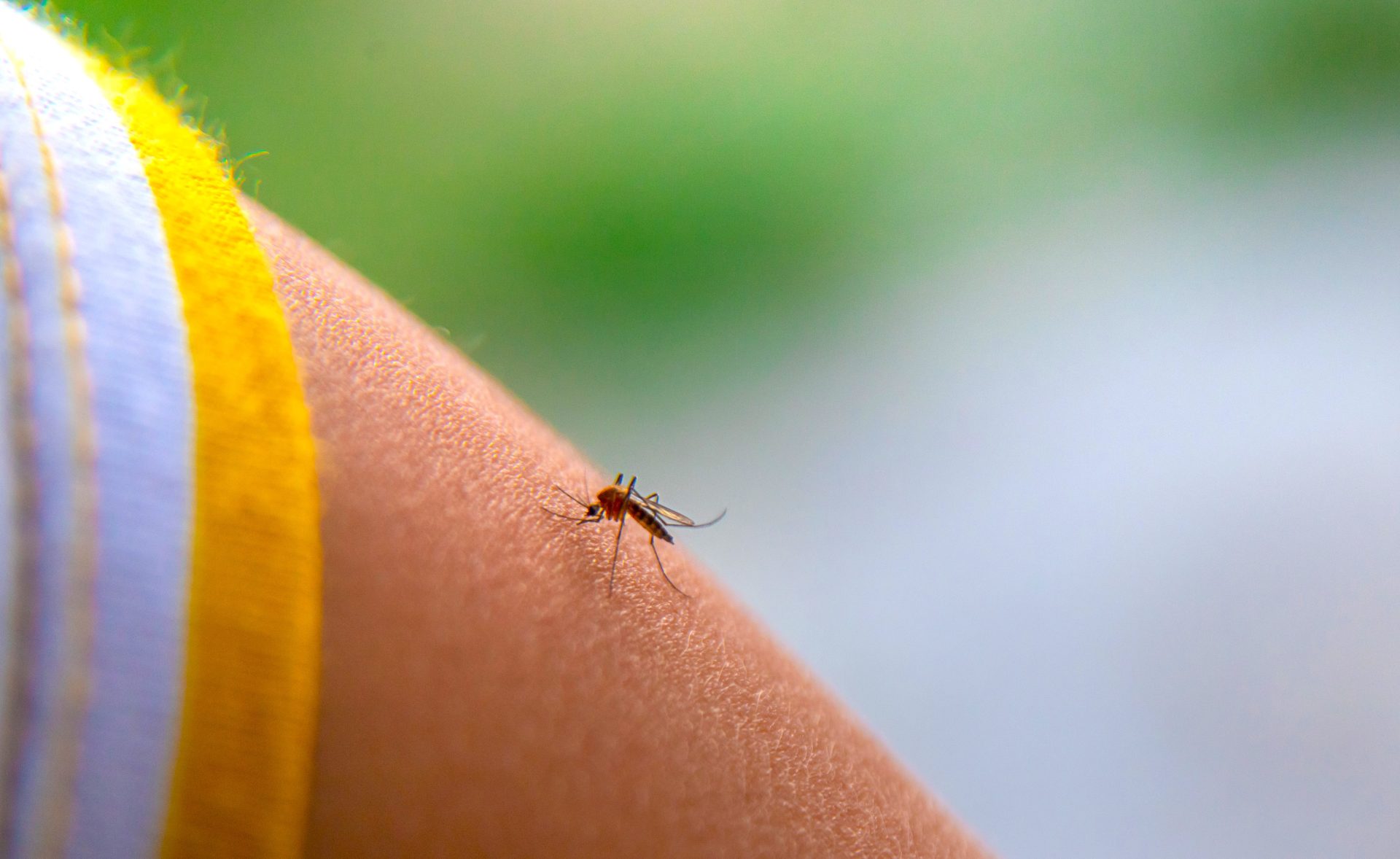 Fiebre amarilla en Colombia despliegan medidas urgentes ante brote nacional1