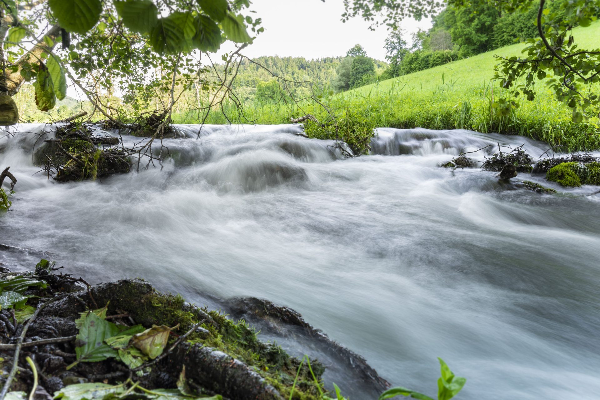 beautiful scenery of a river in a green land 2025 02 06 04 17 26 utc
