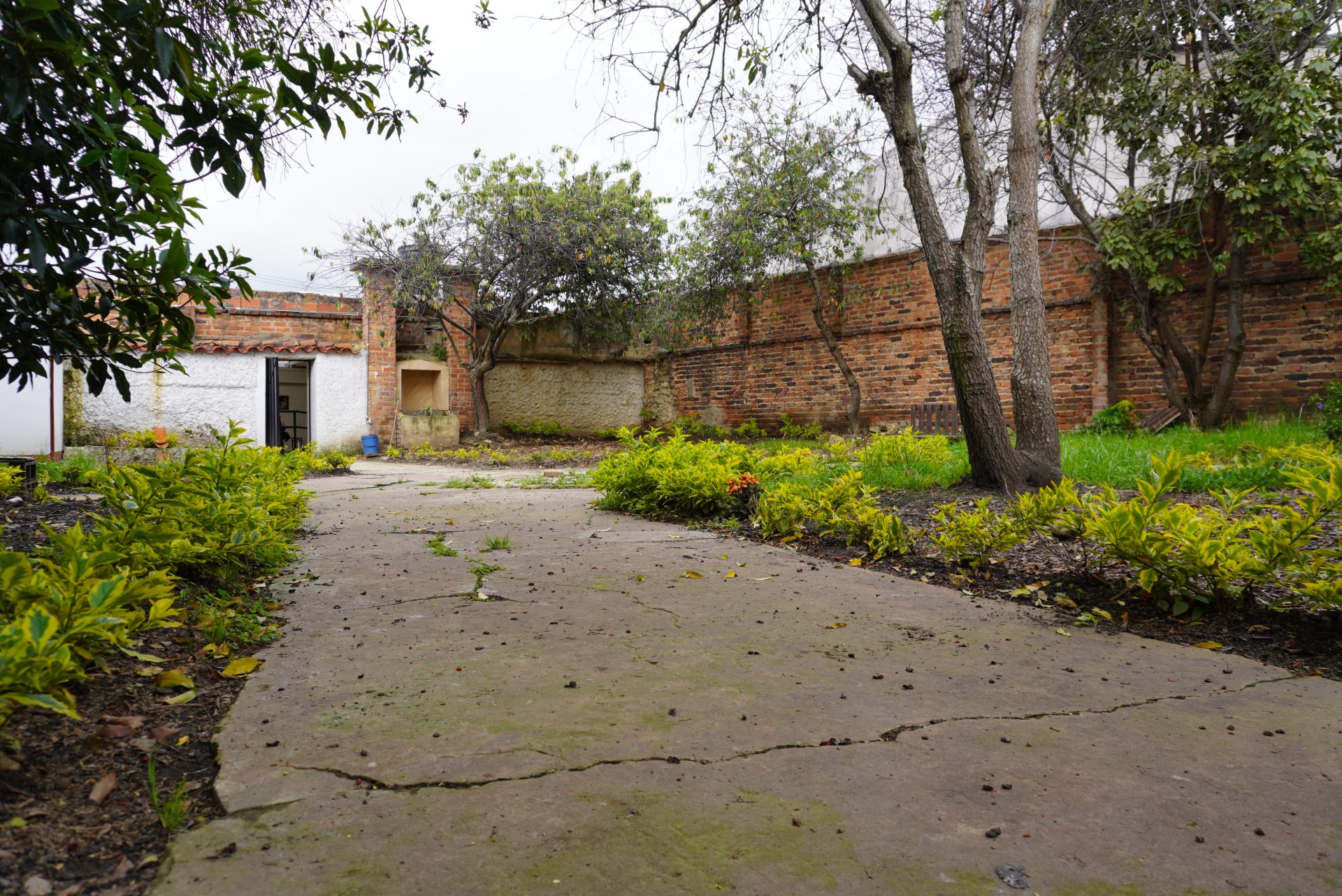 DSC05599