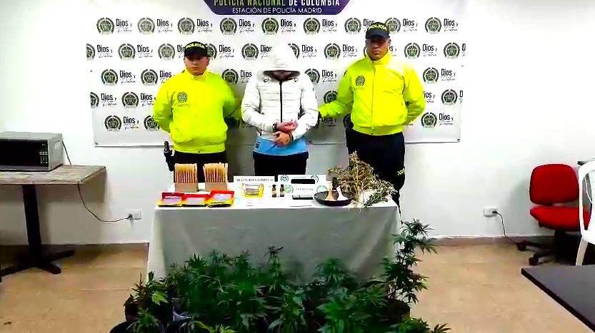 Descubren narcolaboratorio con cultivo hidroponico de marihuana en Madrid Cund.4