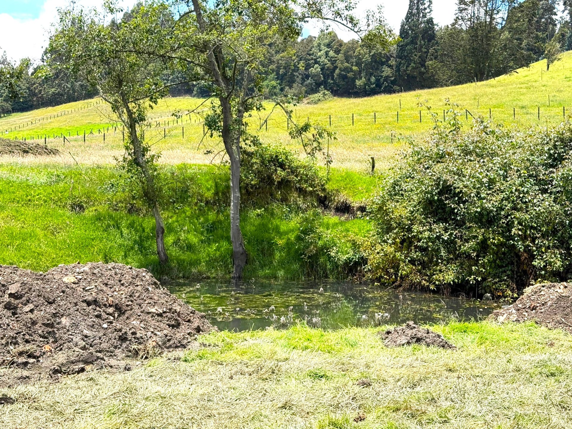 En la vereda San Jorge de Zipaquira Sorprenden disposicion irregular de residuos