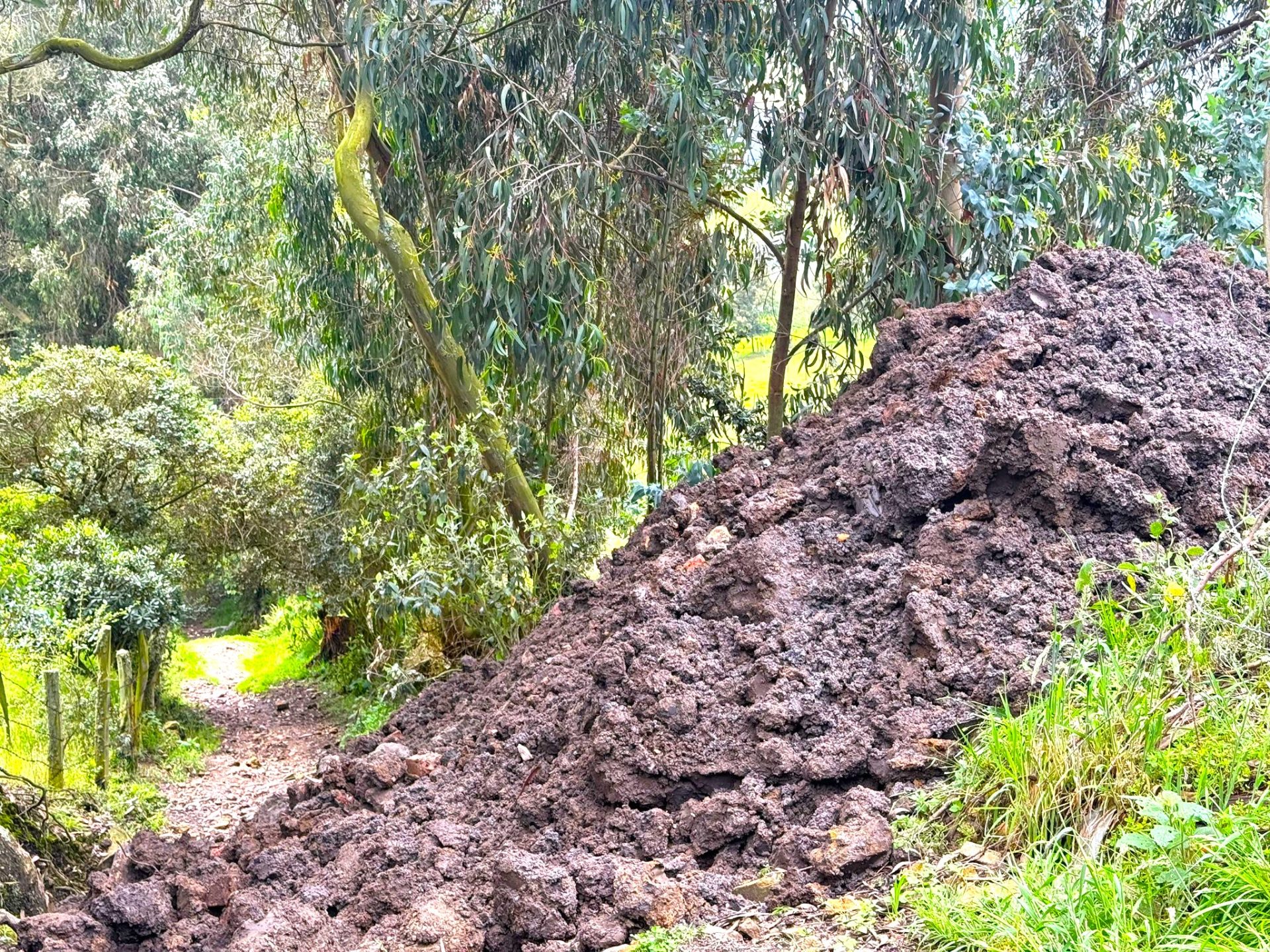 En la vereda San Jorge de Zipaquira Sorprenden disposicion irregular de residuos1