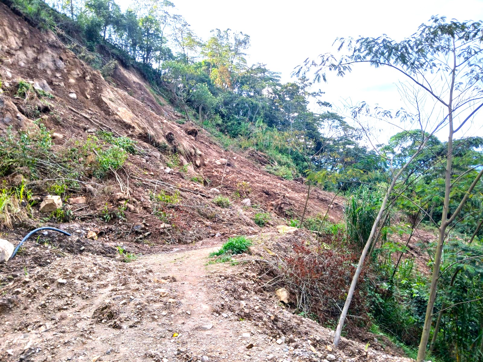 IDEAM declara alerta roja en Cundinamarca por crecientes subitas 25 municipios en riesgo1