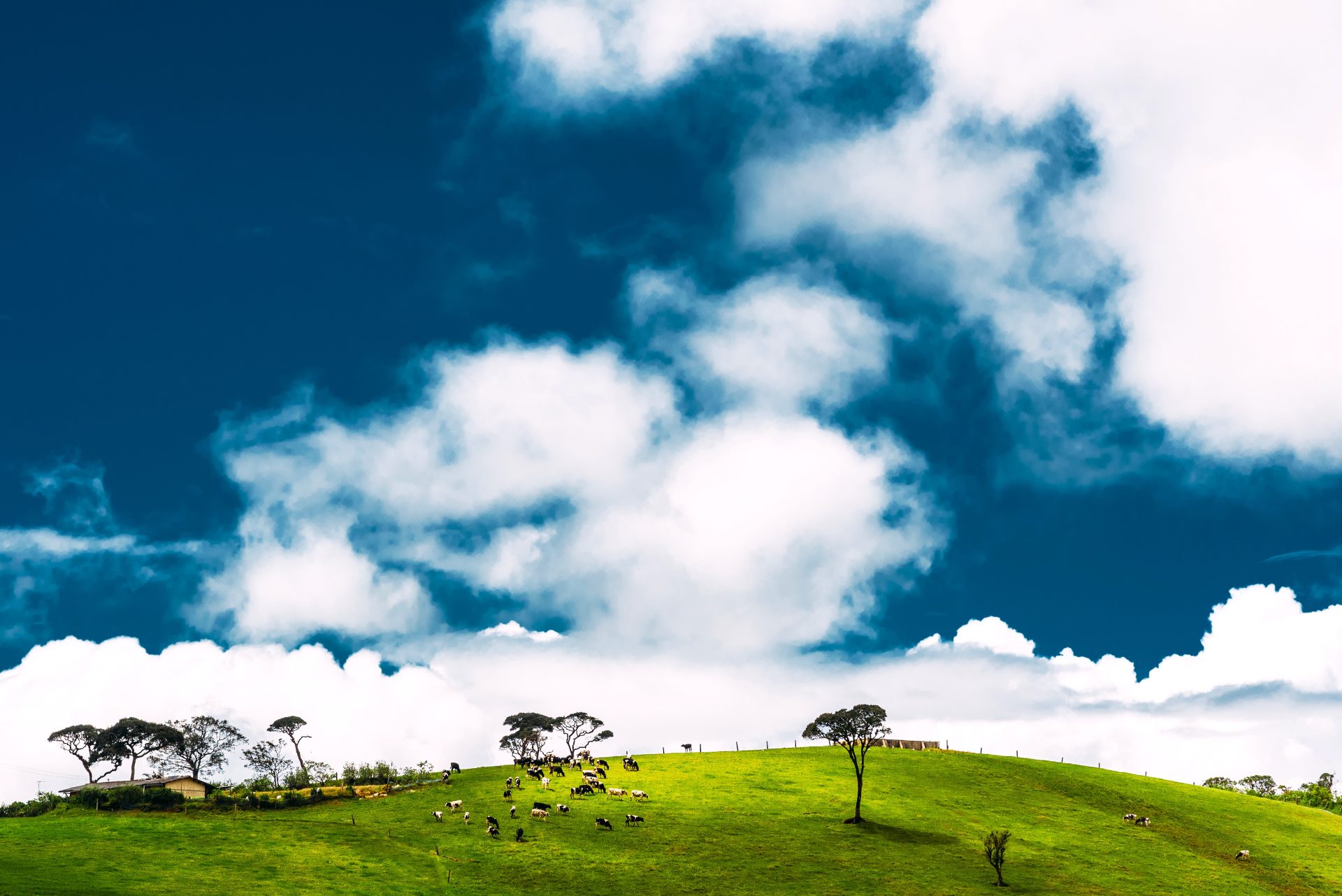 Procuraduria pide frenar observaciones al ordenamiento ambiental de la Sabana