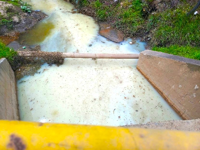 Vertimiento ilegal de aguas residuales en Cajica amenaza quebrada y biodiversidad 1