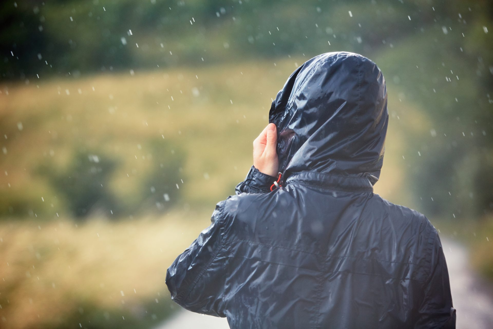 man with dog in heavy rain 2025 02 16 09 48 21 utc