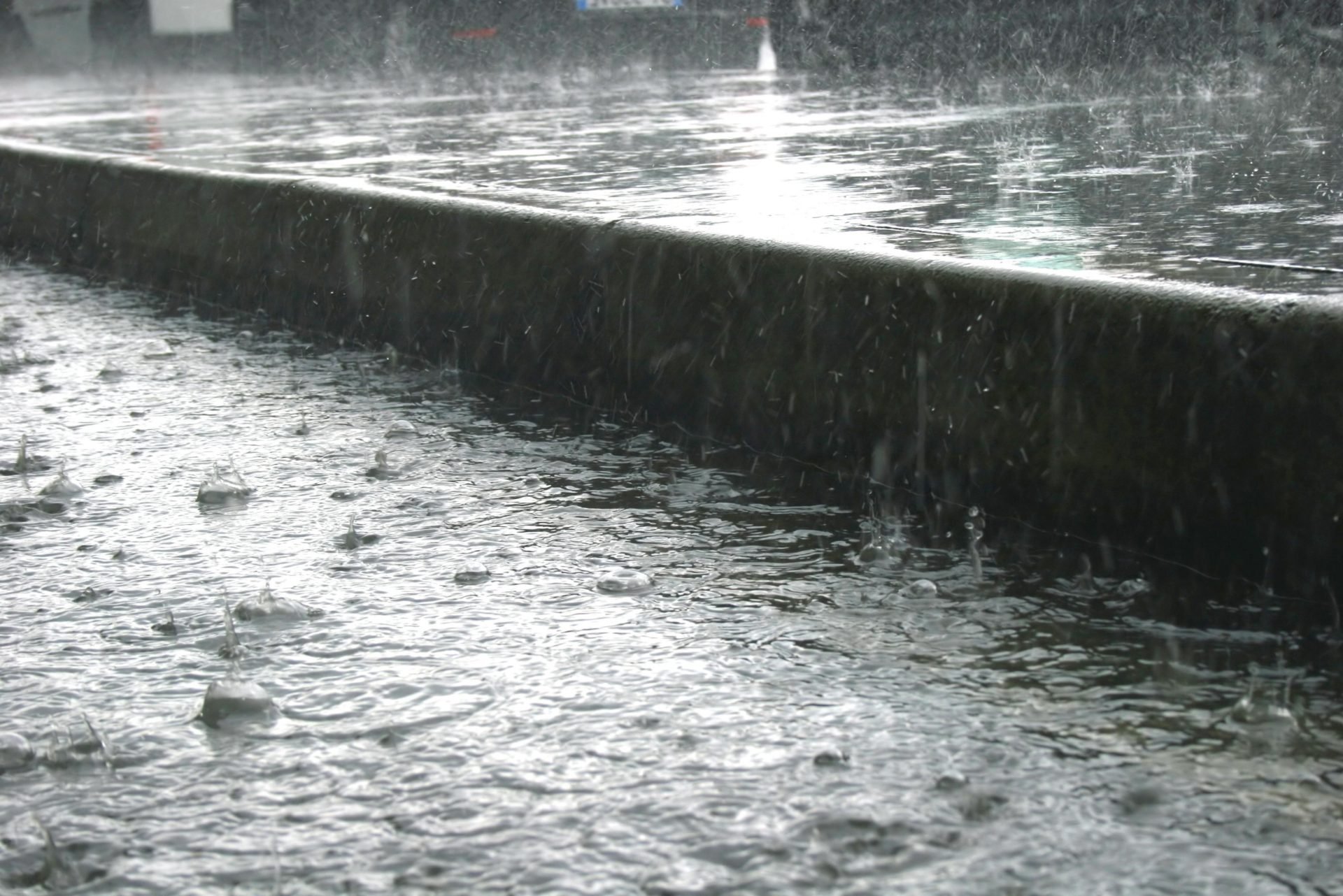 rain raindrop rainforest raining 2024 12 14 01 02 08 utc