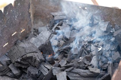 Ecocidio en Soacha cinco capturados en operacion contra carbon vegetal ilegal1