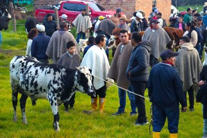 Fiesta de la familia campesina 2025 Cucunuba celebra sus raices este 15 de junio