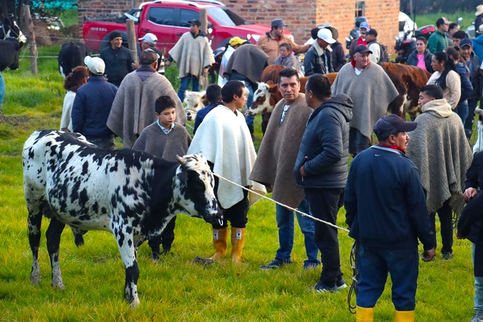 Fiesta de la familia campesina 2025 Cucunuba celebra sus raices este 15 de junio