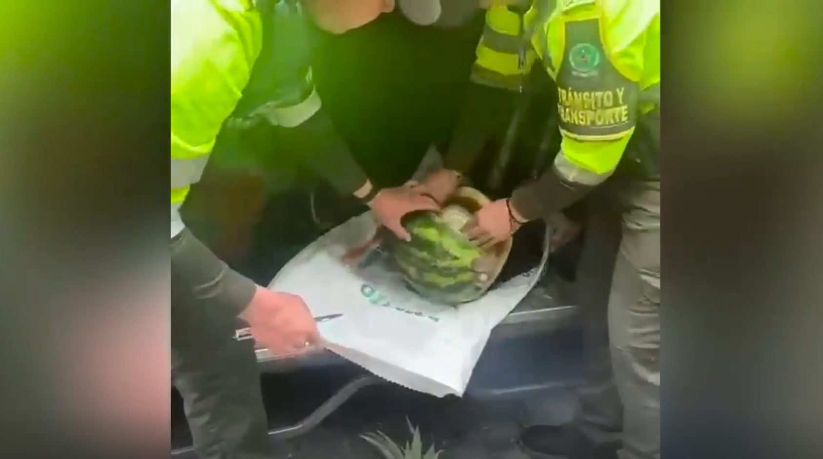 Intento pasar 13 kilos de cocaina dentro de sandias en la via Villavicencio–Bogota2