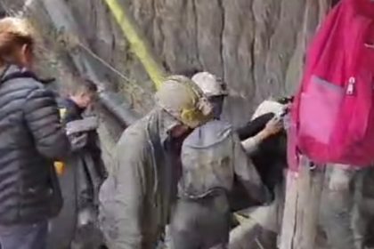 Proyecto nuevo 22