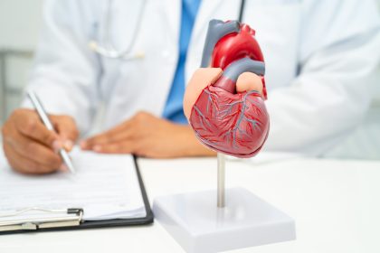 cardiovascular disease cvd asian doctor holding h 2025 02 25 04 46 47 utc
