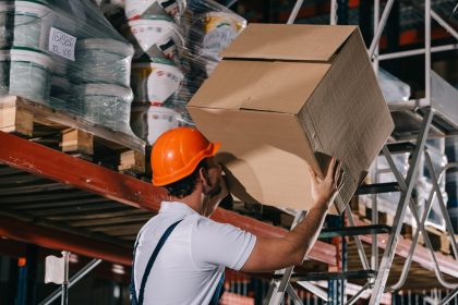 warehouse worker holding cardboard box while stand 2024 11 17 10