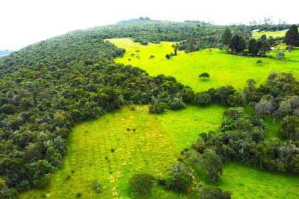 Chia compra monte para no tocarlo mas de 16 millones de m² ahora son santuarios del agua1