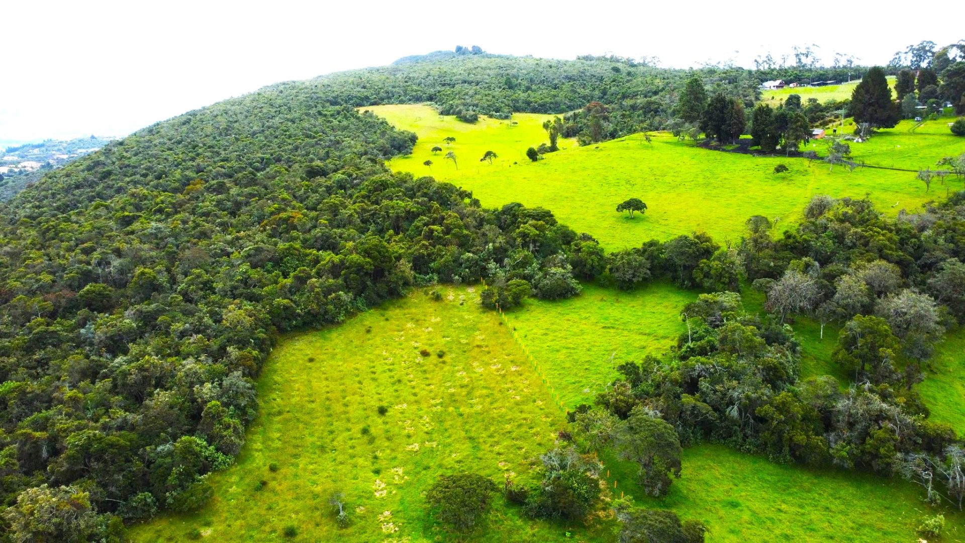 Chia compra monte para no tocarlo mas de 16 millones de m² ahora son santuarios del agua1