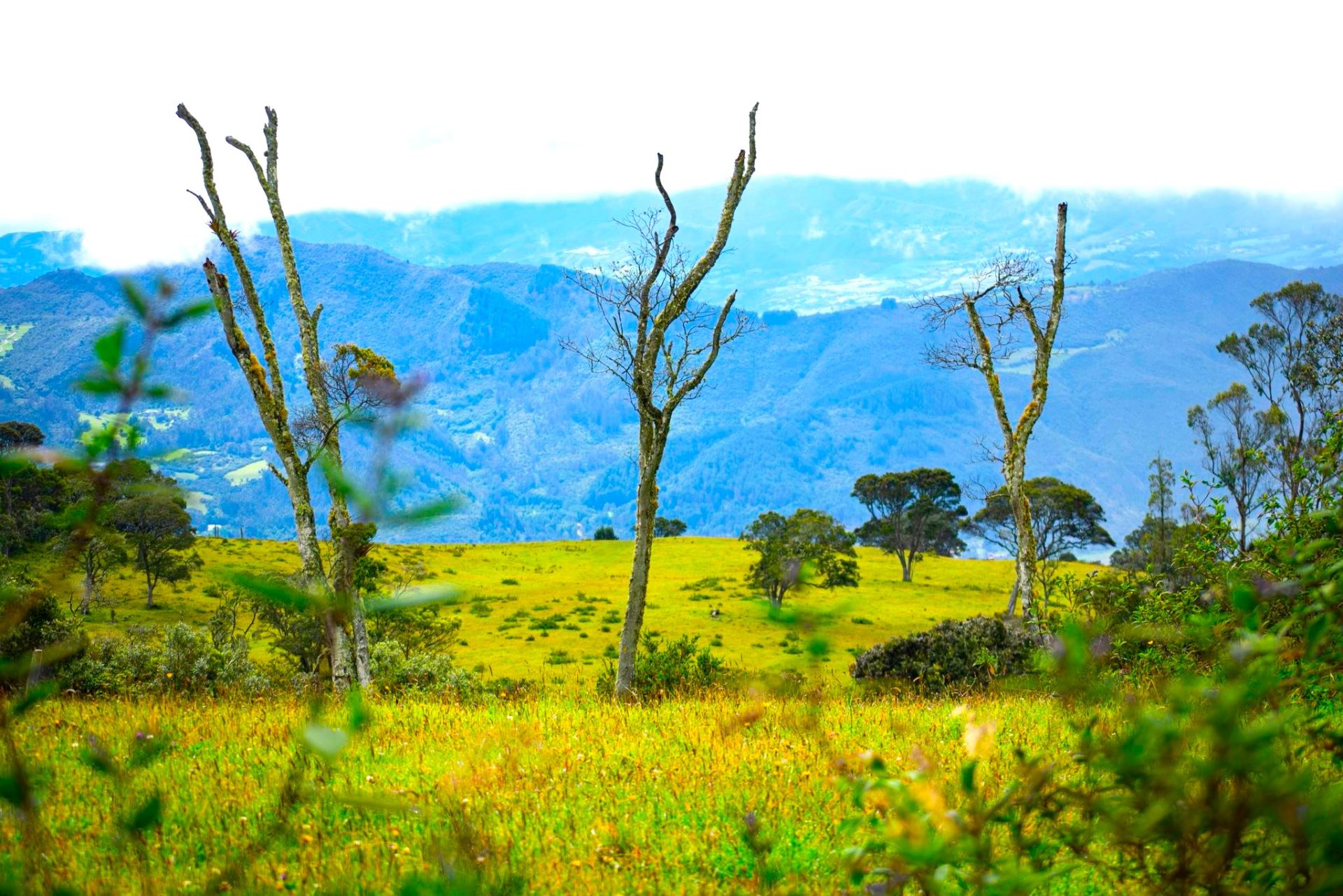 Chia compra monte para no tocarlo mas de 16 millones de m² ahora son santuarios del agua2
