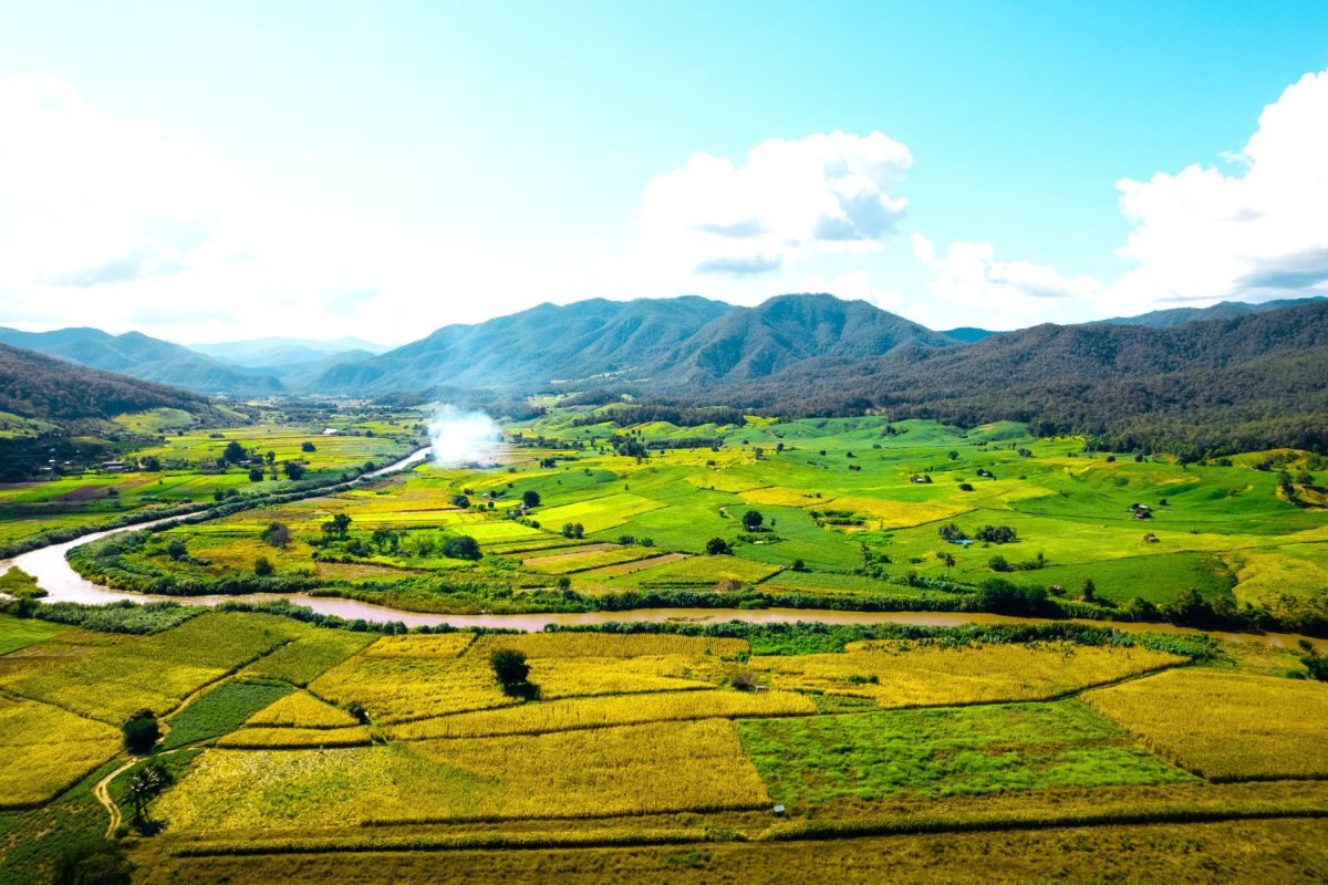 Consejo de Estado frena la improvisacion ambiental en la Sabana de Bogota