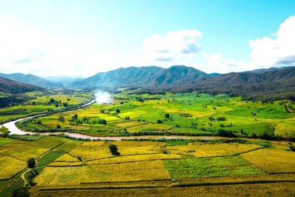 Consejo de Estado frena la improvisacion ambiental en la Sabana de Bogota