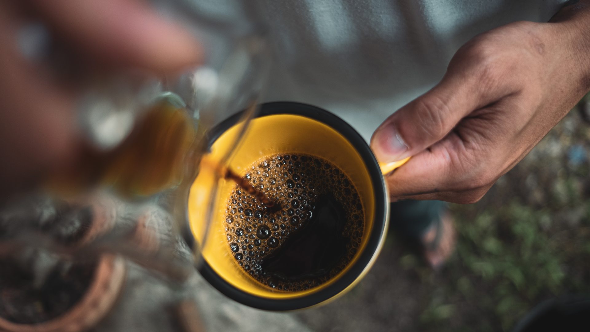 put a drip coffee at the counter 2024 12 07 02 19 27 utc