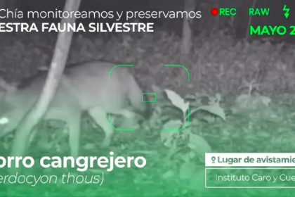 Chia semifinalista en los Premios Ambientales 2025 por su innovador Plan de Biodiversidad1