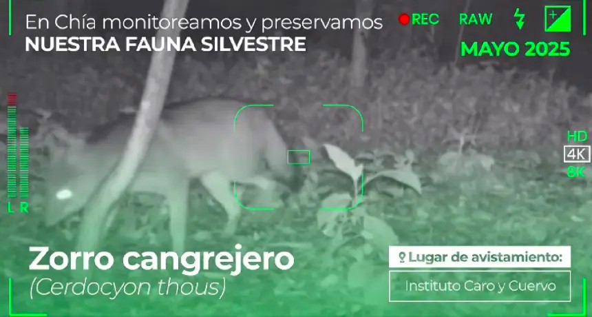 Chia semifinalista en los Premios Ambientales 2025 por su innovador Plan de Biodiversidad1